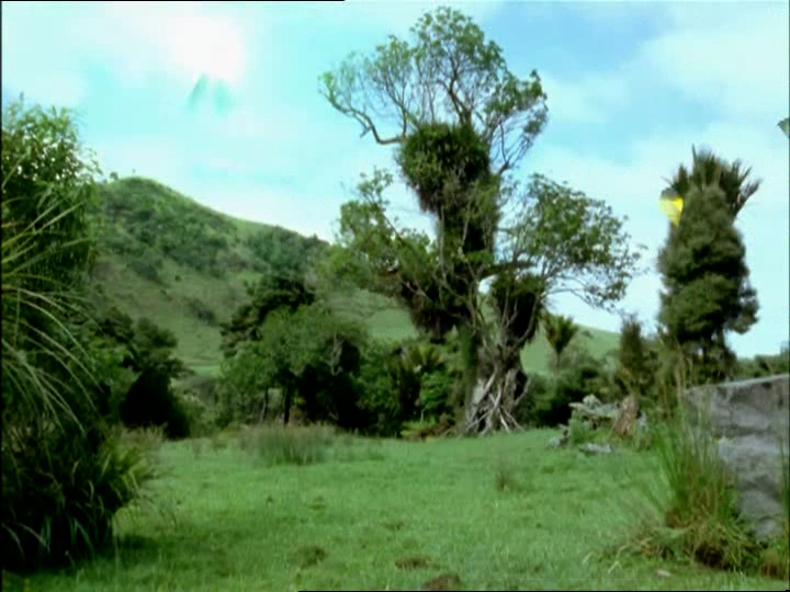 ForÃªt PÃ©trifiÃ©e