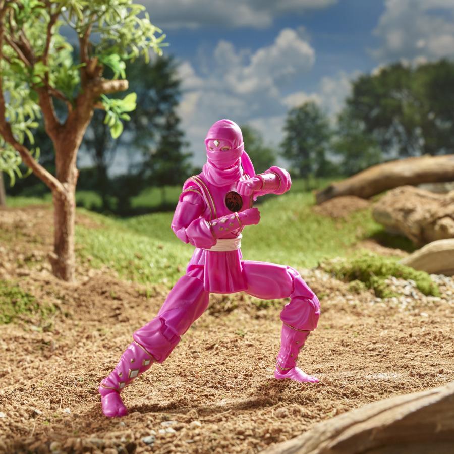 Mighty Morphin Ninja Pink Ranger