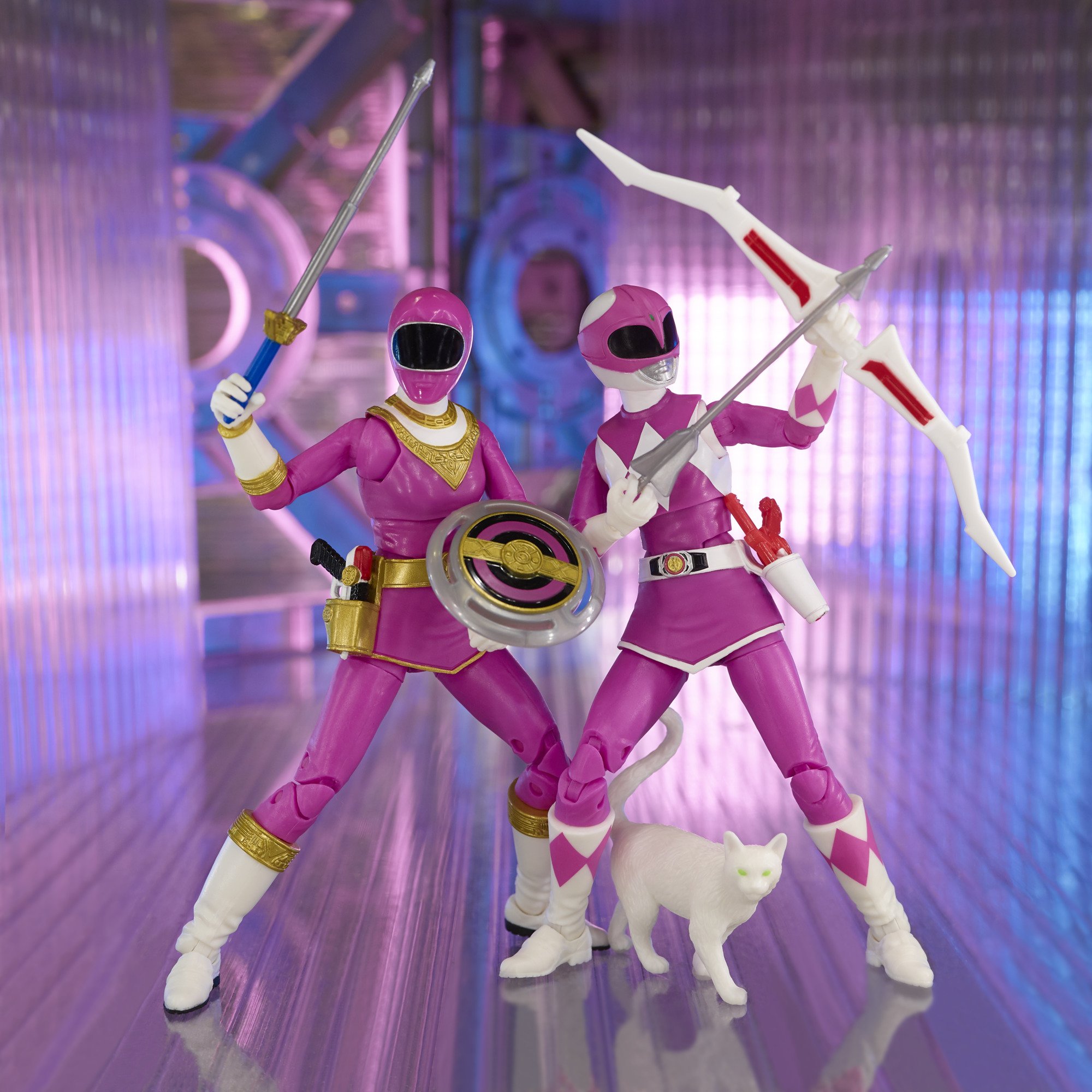 Mighty Morphin Pink Ranger & Zeo Pink Ranger